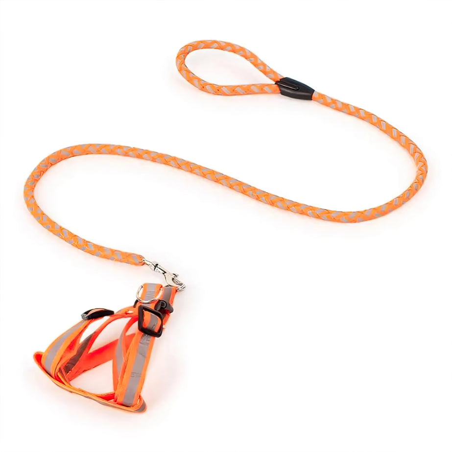 Reflective Pet leash with Collar (For Small to Medium Breed) Night Walk