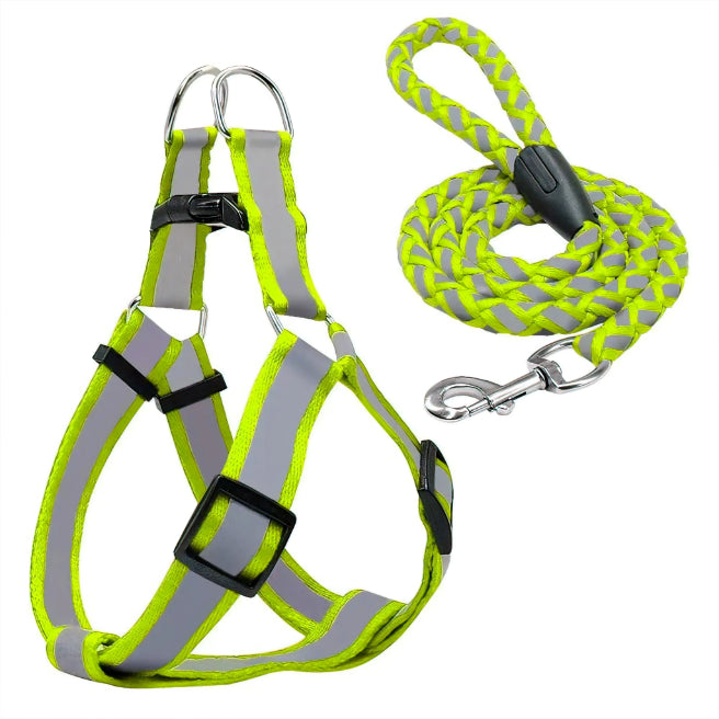 Reflective Pet leash with Collar (For Small to Medium Breed) Night Walk