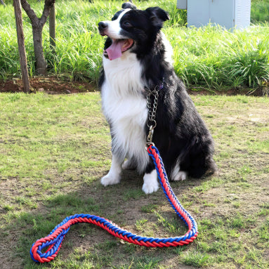 Heavy Duty Pet Leash with collar with smart Opening For Large Breed