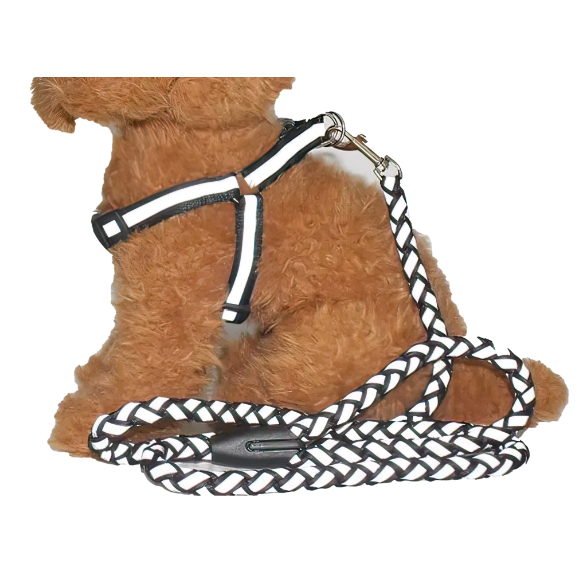 Reflective Pet leash with Collar (For Small to Medium Breed) Night Walk