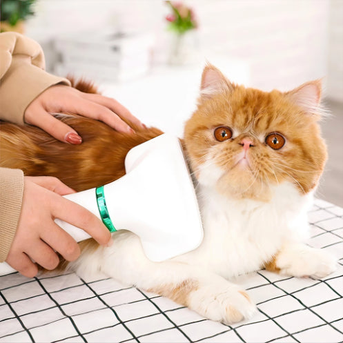 2 In 1 Pet Hair Brush with Dryer with Slicker Brush