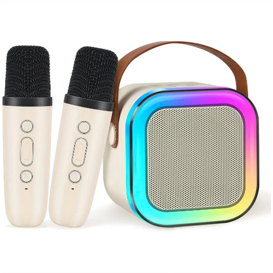 Best Bluetooth Karaoke Speaker with 2 Mic USB Powered