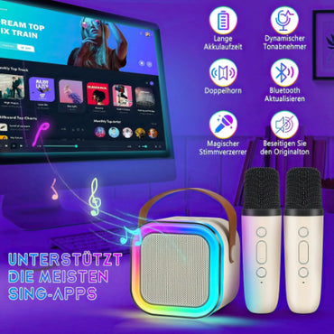 Best Bluetooth Karaoke Speaker with 2 Mic USB Powered