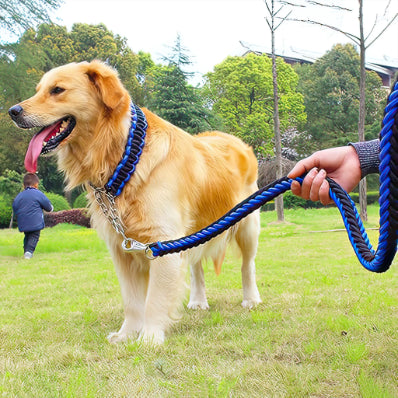 Heavy Duty Pet Leash with collar with smart Opening For Large Breed