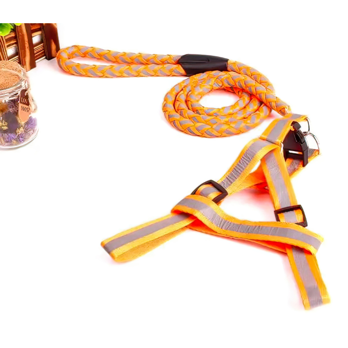 Reflective Pet leash with Collar (For Small to Medium Breed) Night Walk