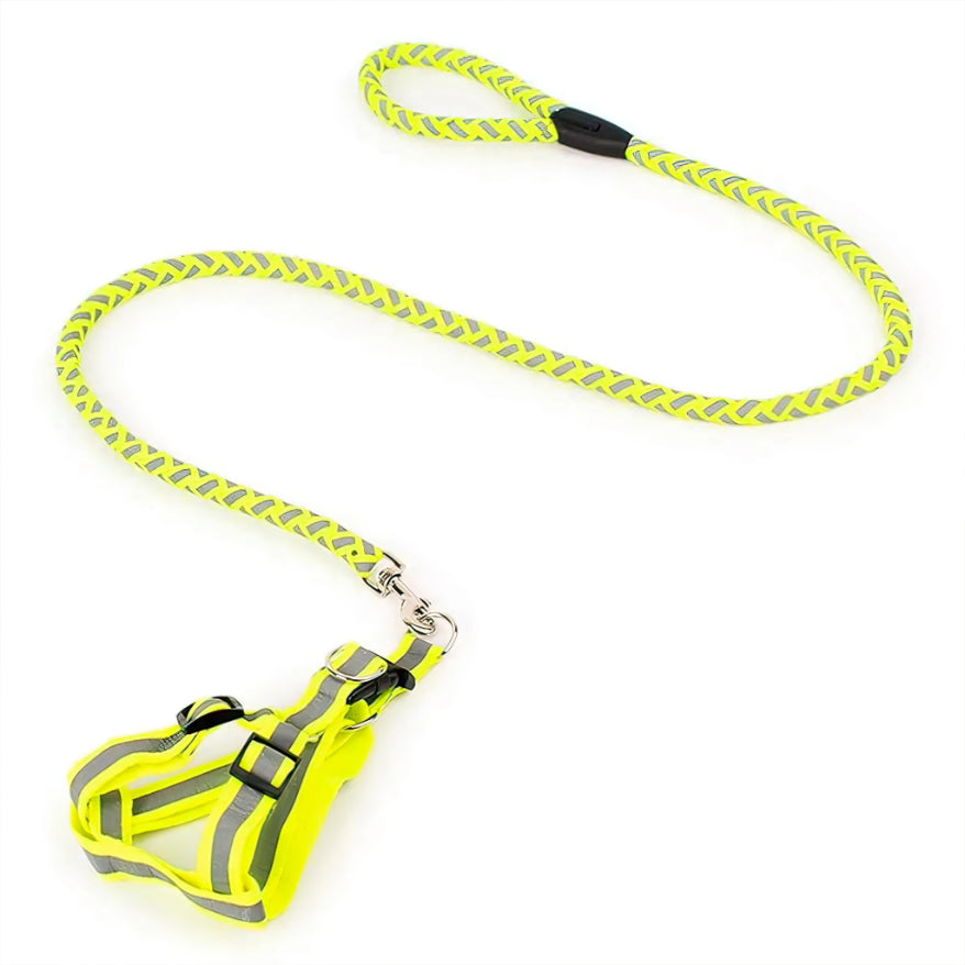 Reflective Pet leash with Collar (For Small to Medium Breed) Night Walk