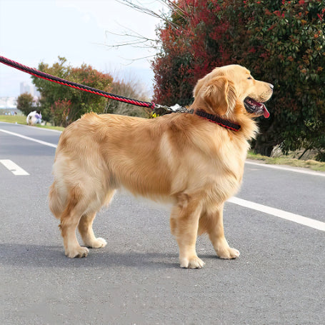 Heavy Duty Pet Leash with collar with smart Opening For Large Breed