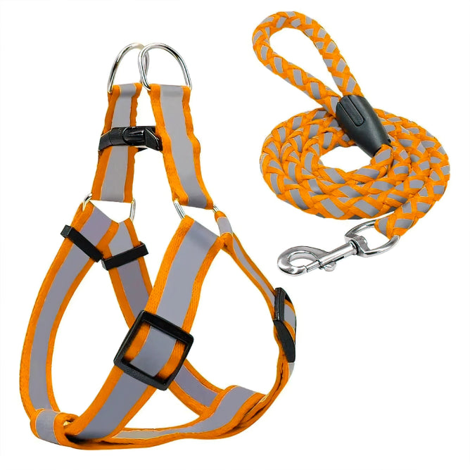 Reflective Pet leash with Collar (For Small to Medium Breed) Night Walk