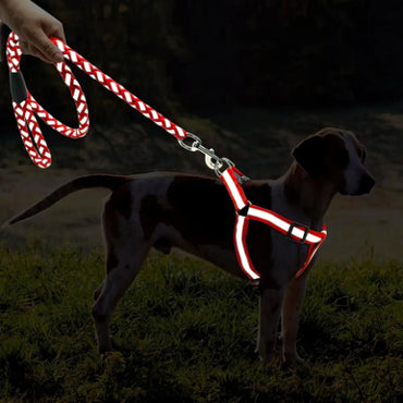 Reflective Pet leash with Collar (For Small to Medium Breed) Night Walk
